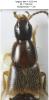 321236 – Photo : Mille Sabords – France (91)